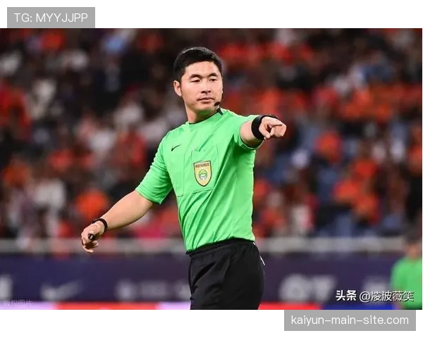 外籍裁判执裁违体准确率更高 本土裁判差距明显